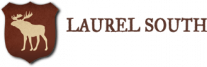 Camp Laurel South summer camp in Maine