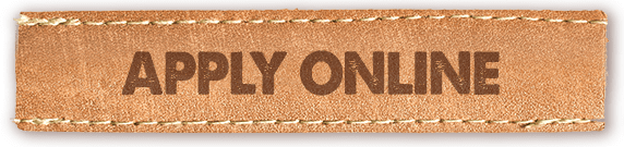 Apply Online button