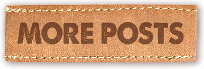 More Posts button