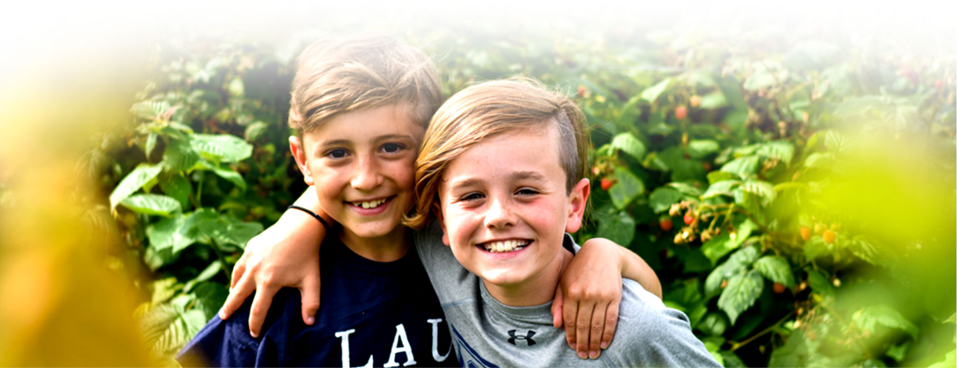 summer camp footer background photo